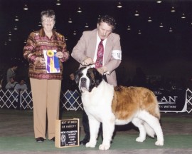 Martigny tashka`s kennel